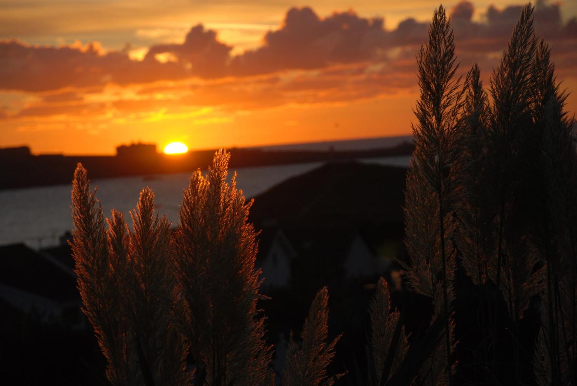 The Whipsiderry Hotel New Quay Exteriér fotografie