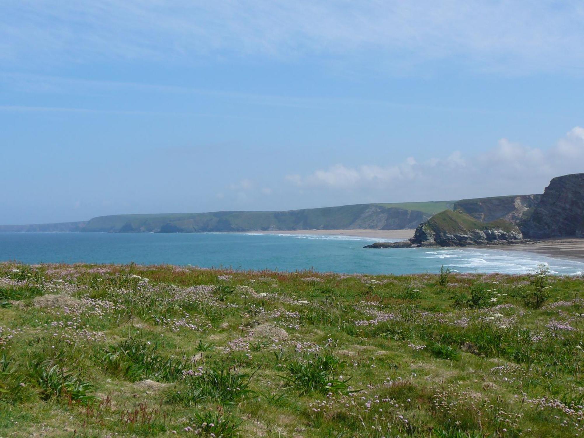 The Whipsiderry Hotel New Quay Exteriér fotografie
