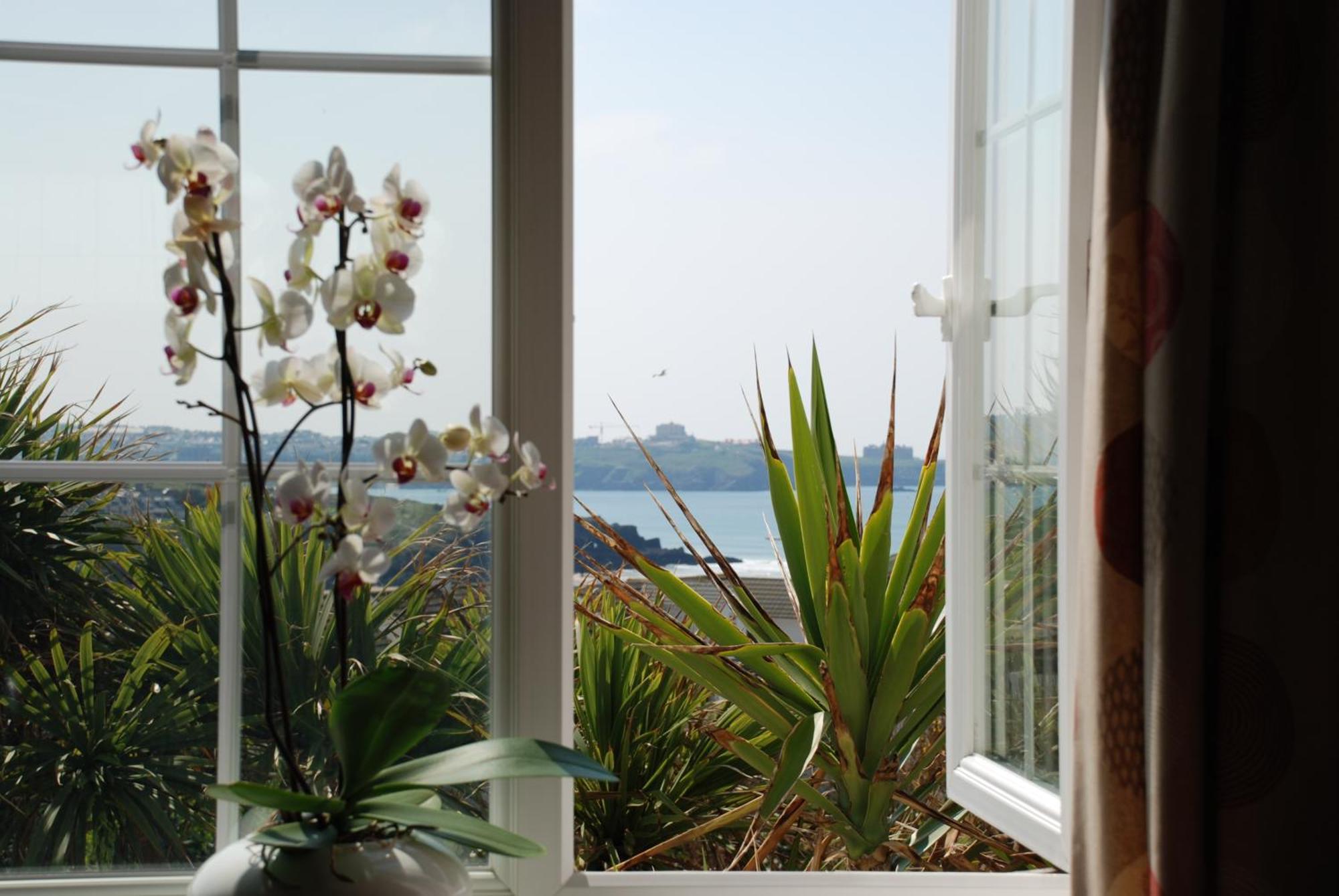The Whipsiderry Hotel New Quay Exteriér fotografie